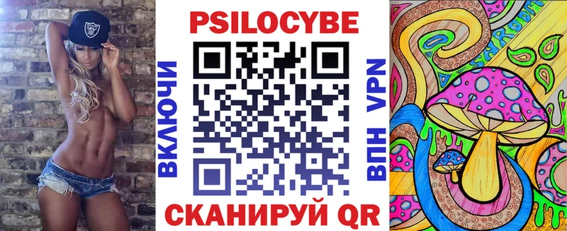 Псилоцибиновые грибы мицелий где продают наркотики Ефремов
