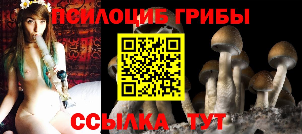 Галлюциногенные грибы мицелий  Вход с VPN  Псилоцибиновые грибы MAGIC MUSHROOMS  Ефремов 