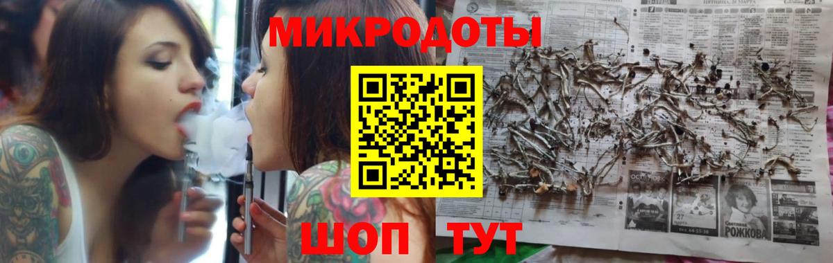Галлюциногенные грибы Cubensis Ефремов